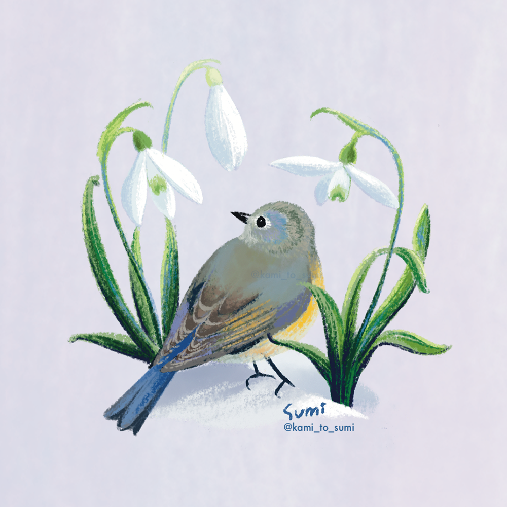 12か月の花鳥画カレンダーイラスト (202212-202303)